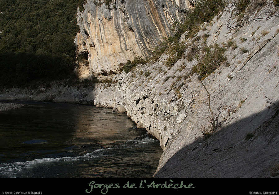 20080101_grdgour08