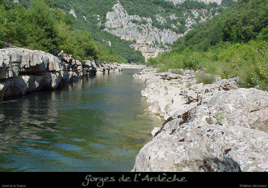 20020728_canaltoupine