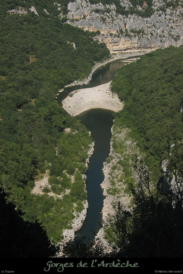 20070804_gournier_toupine