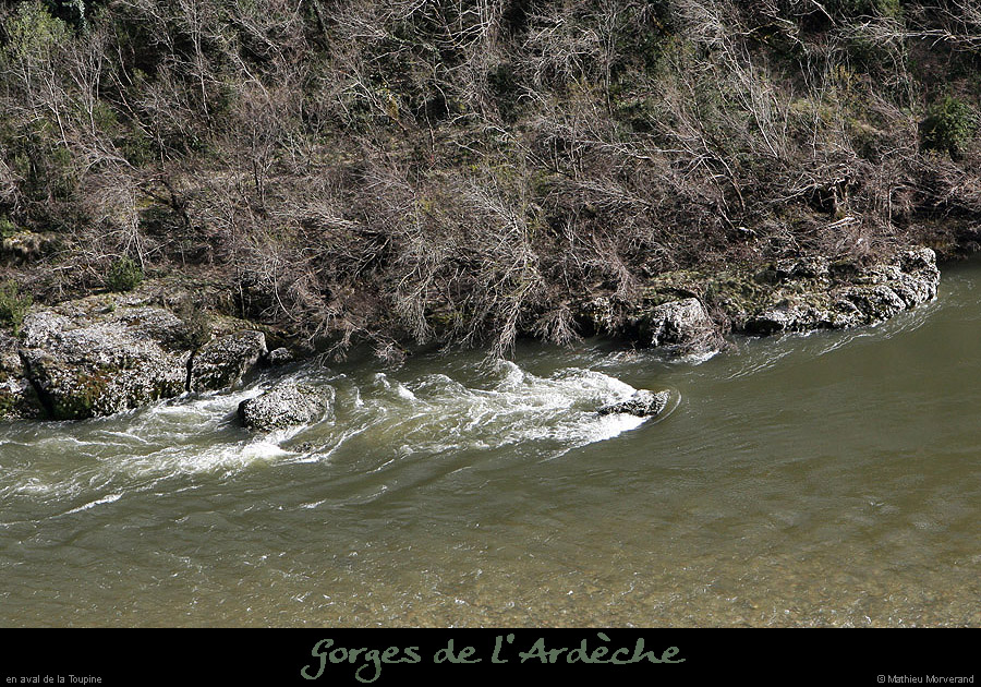 20100327_gournier_sortietoupine