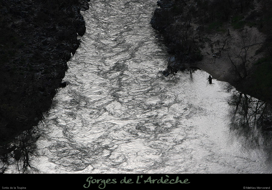 20100327_gournier_sortietoupineav04