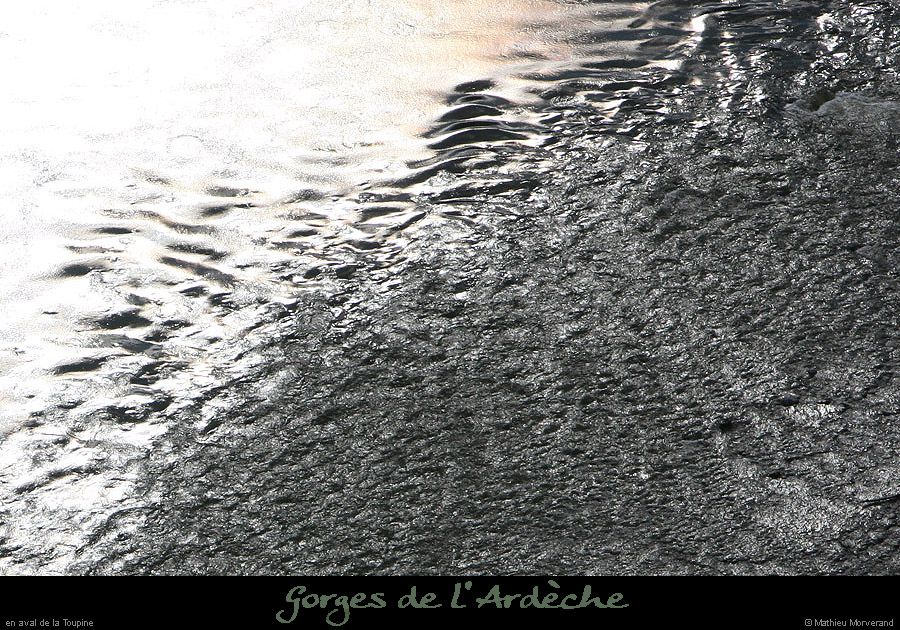 20100327_gournier_sortietoupineav06