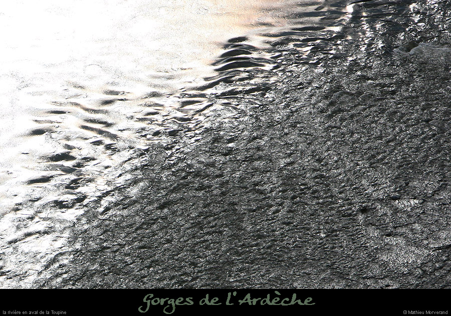 20100327_gournier_sortietoupineav06bis