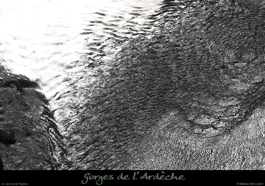 20100327_gournier_sortietoupineav07