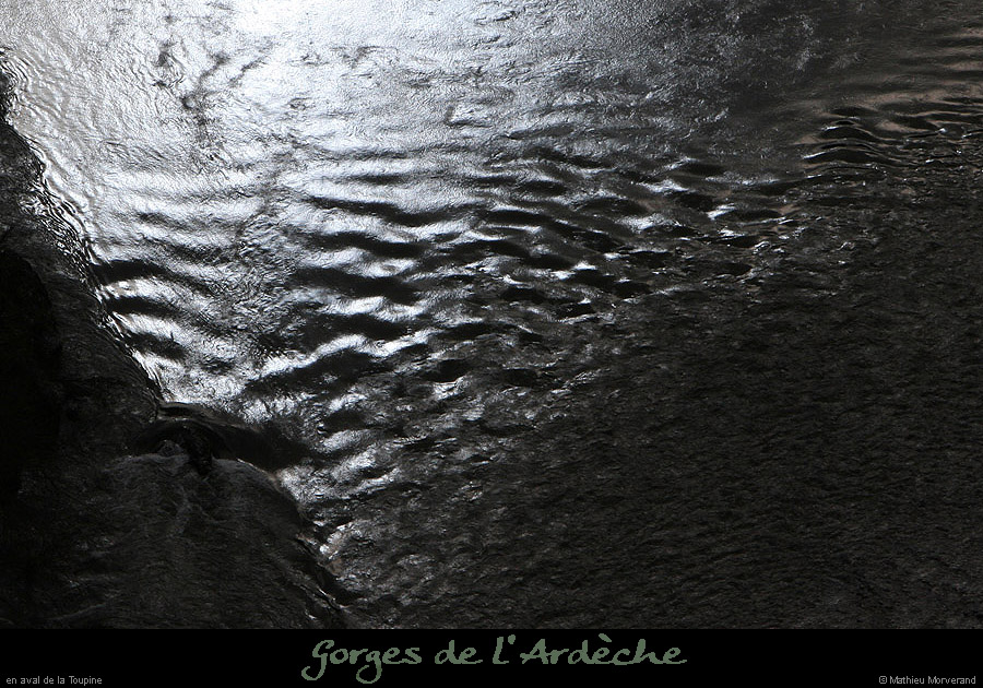 20100327_gournier_sortietoupineav09