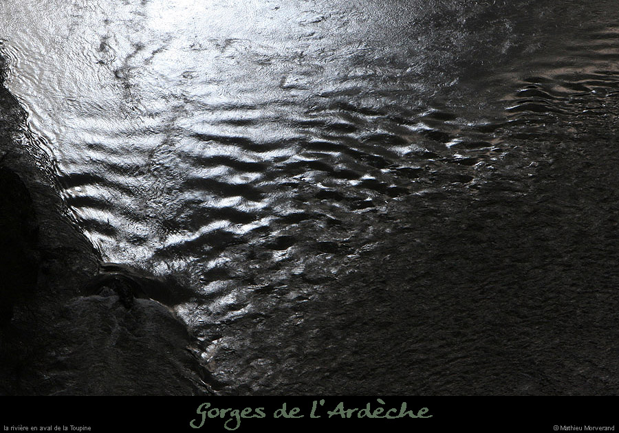 20100327_gournier_sortietoupineav09bis
