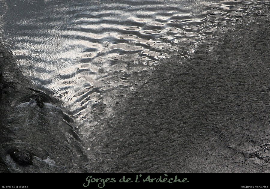 20100327_gournier_sortietoupineav11