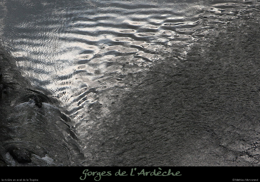 20100327_gournier_sortietoupineav11bis