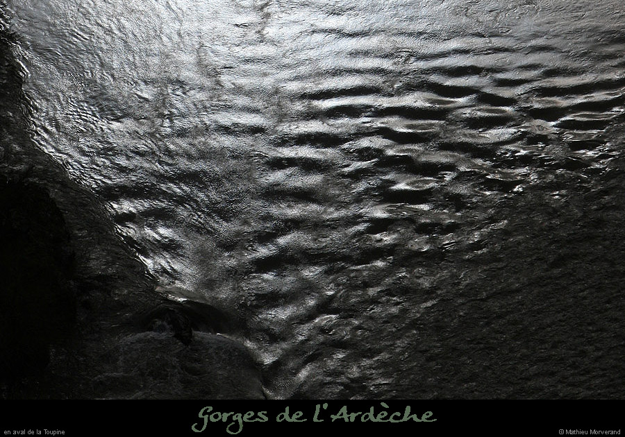 20100327_gournier_sortietoupineav12