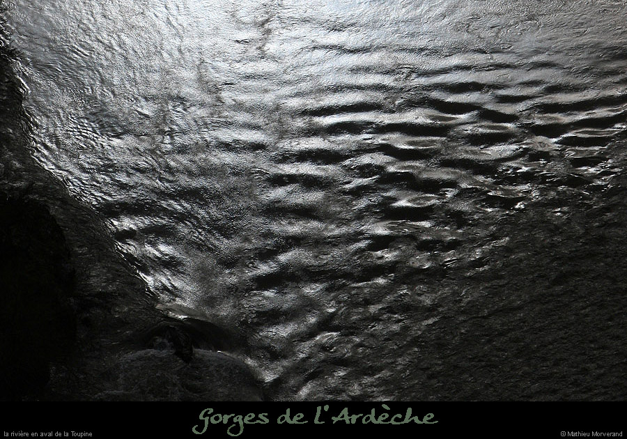 20100327_gournier_sortietoupineav12bis