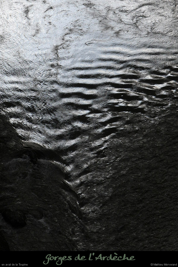 20100327_gournier_sortietoupineav13