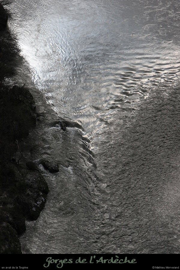20100327_gournier_sortietoupineav14