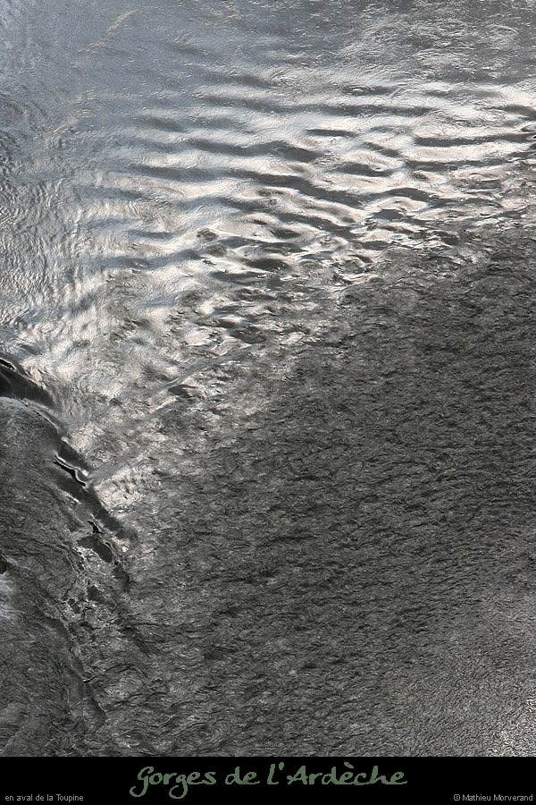20100327_gournier_sortietoupineav15