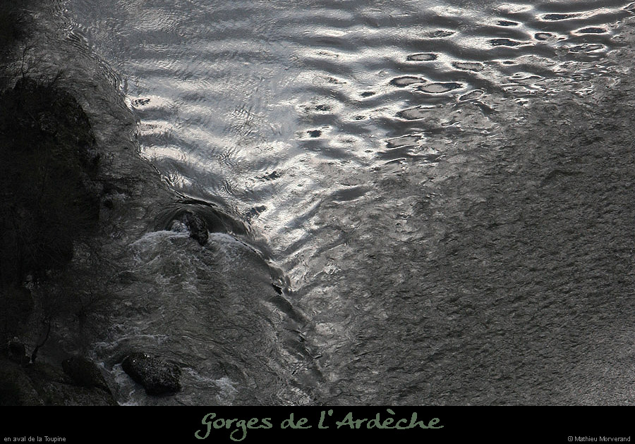 20100327_gournier_sortietoupineav16