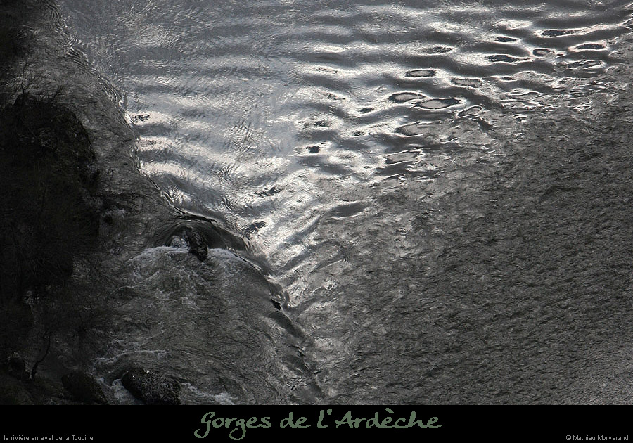 20100327_gournier_sortietoupineav16bis