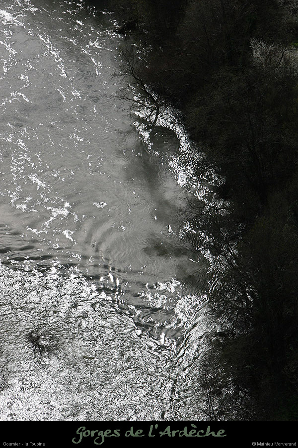 20100327_gournier_sortietoupineav17