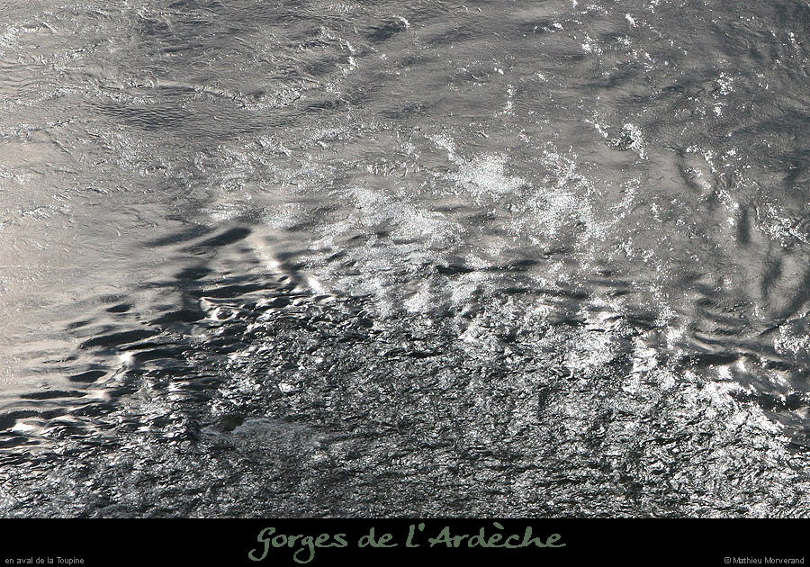 20100327_gournier_sortietoupineav18