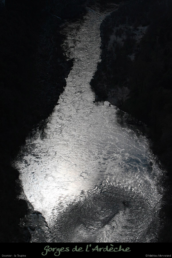 20100327_gournier_sortietoupineav19
