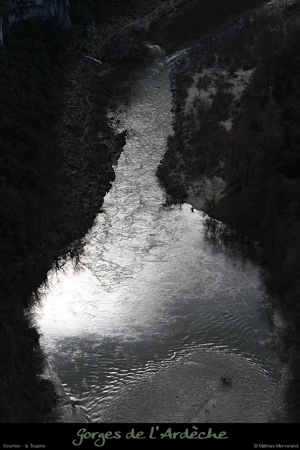 20100327_gournier_sortietoupineav20