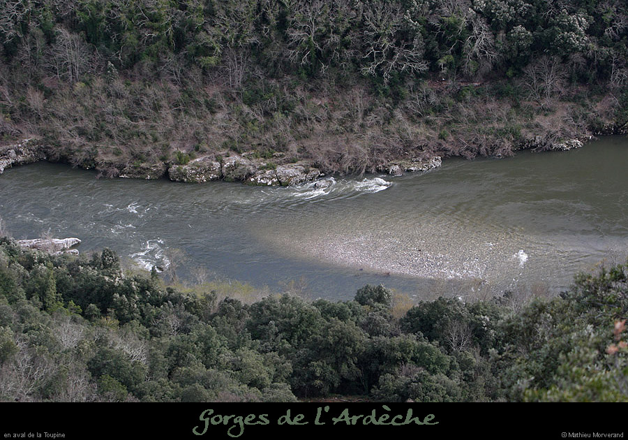 20100327_gpournier_sortietoupine1