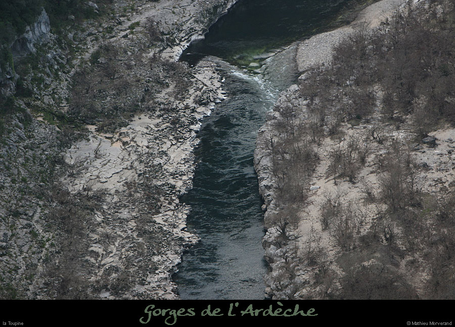20111229_gournier_toupine3