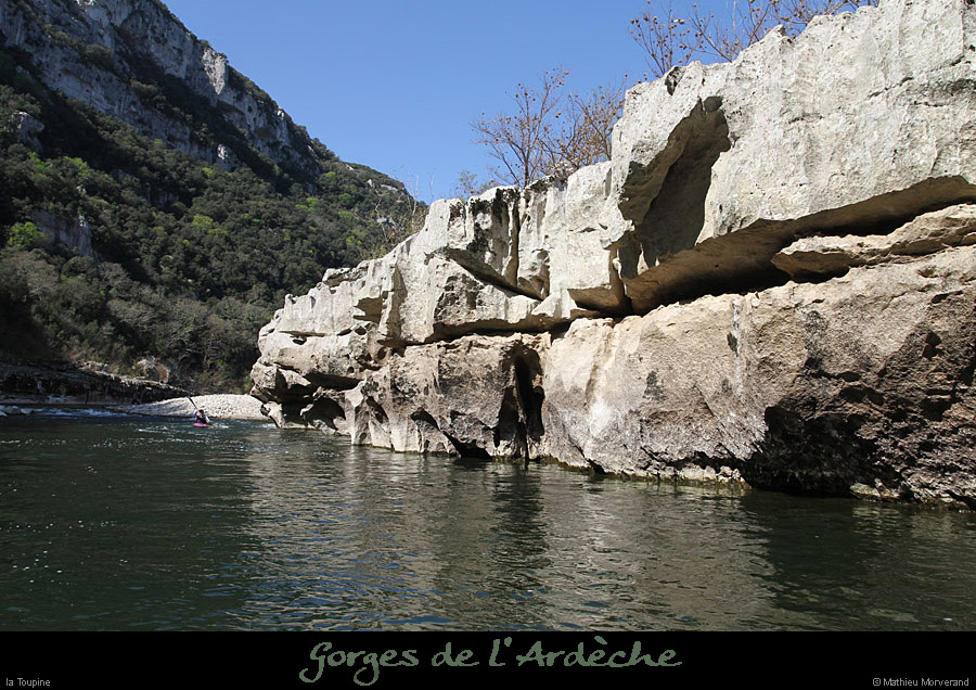 20120401_toupine