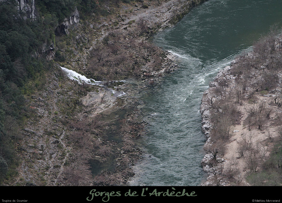 20130330_gournier_toupine3