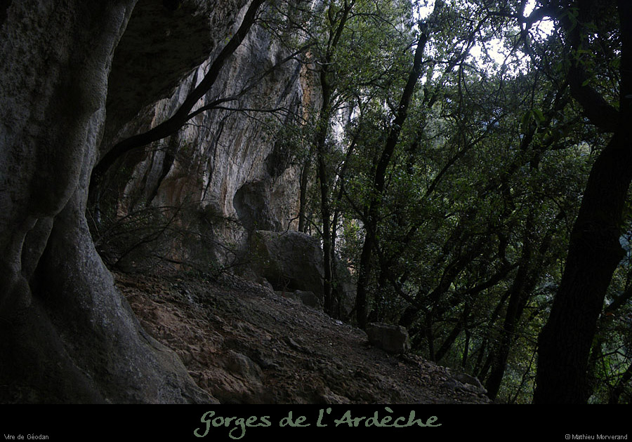 20110112_viregeodan1