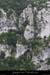20090411_baumebrulade