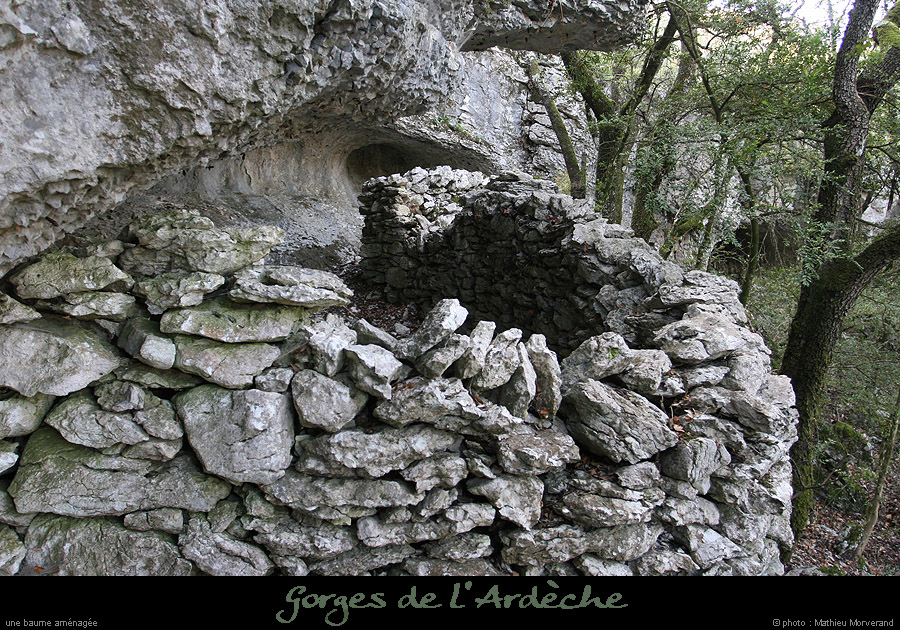 20071013_baumesousflassade2