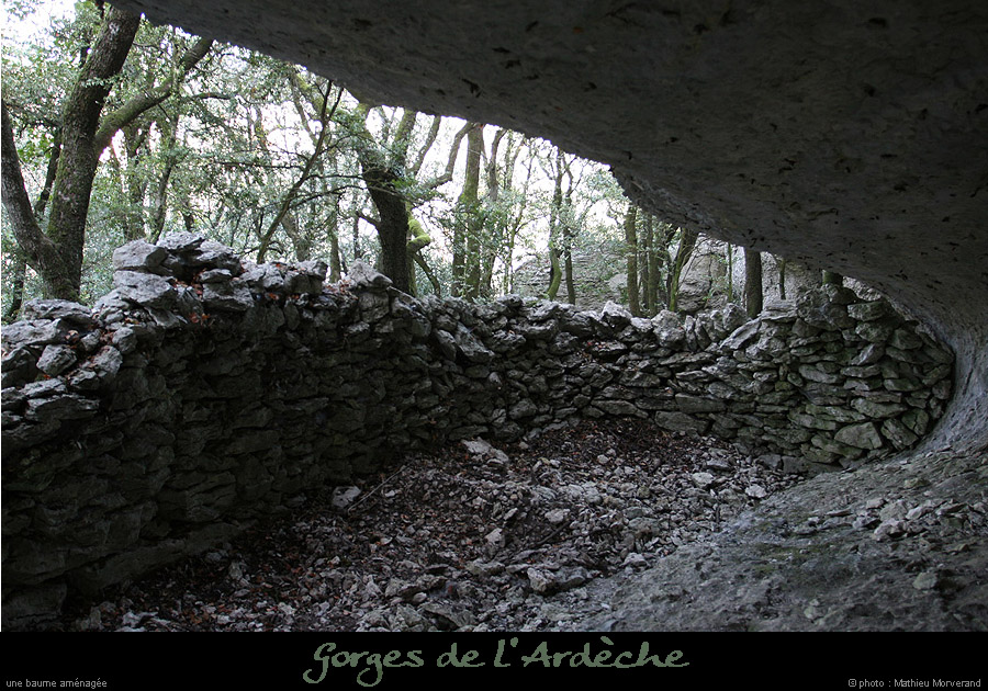20071013_baumesousflassade4