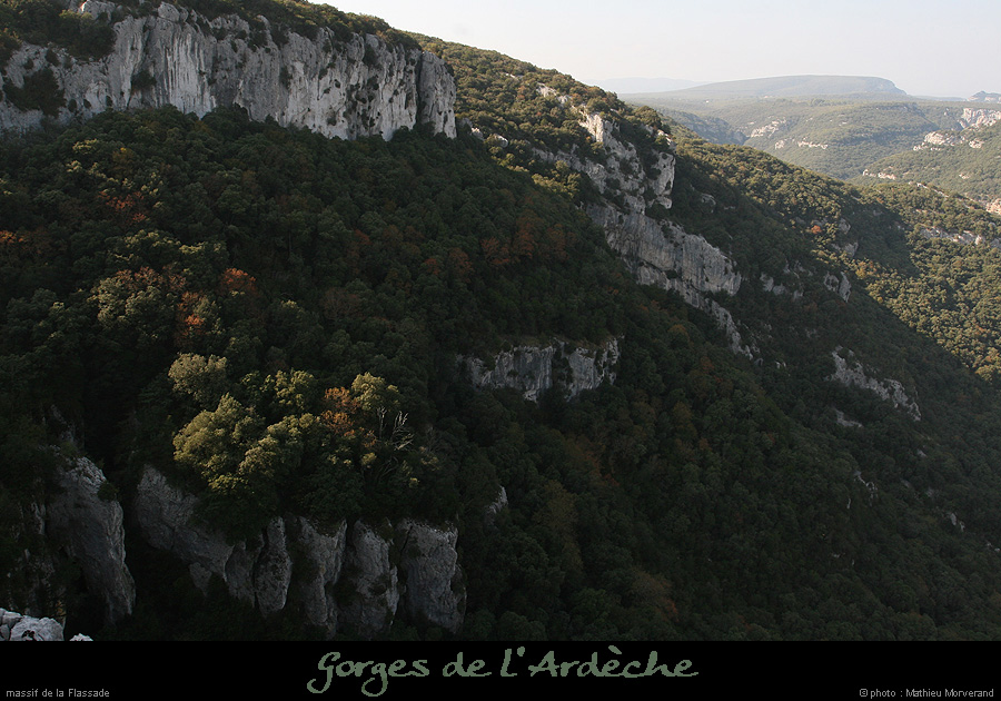 20071014_flassade1