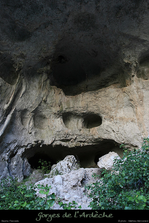 20071021_baumeflassade4