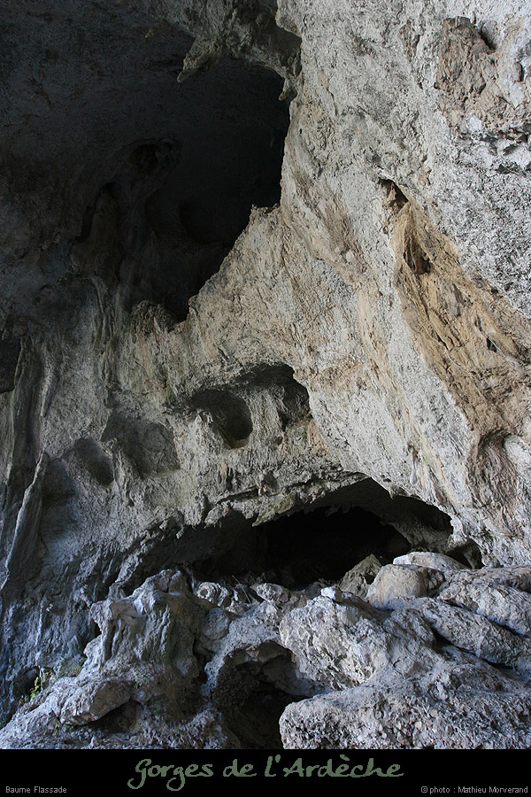 20071021_baumeflassade5