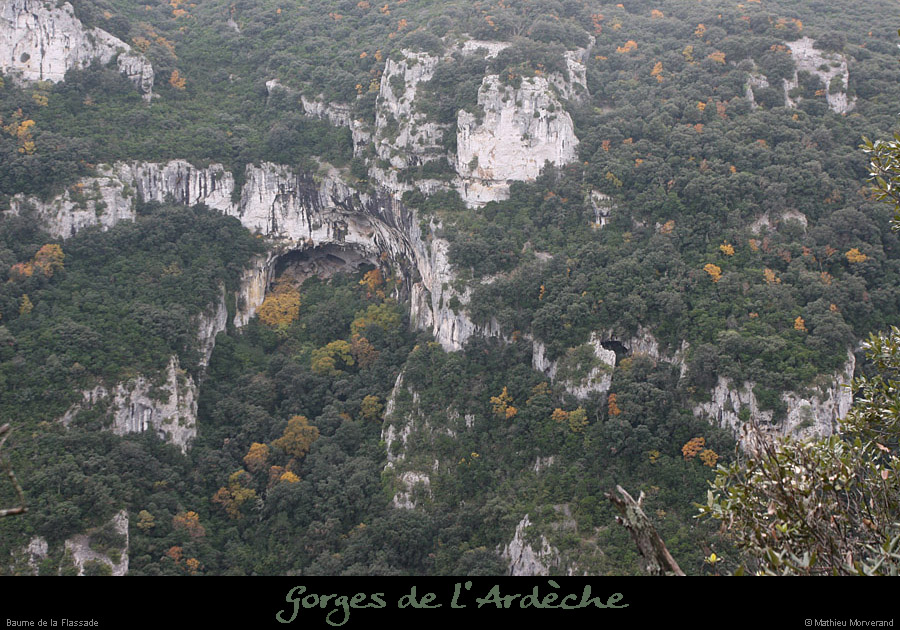 20081109_baumeflassade