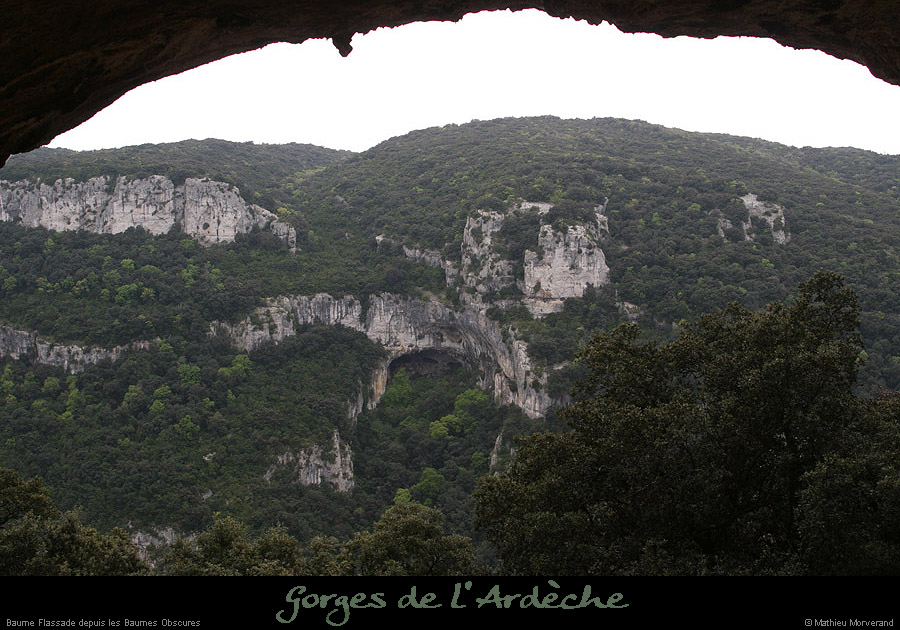 20090411_flassadedebaumeobscures