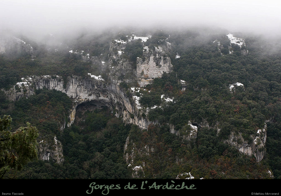 20100113_baumeflassade