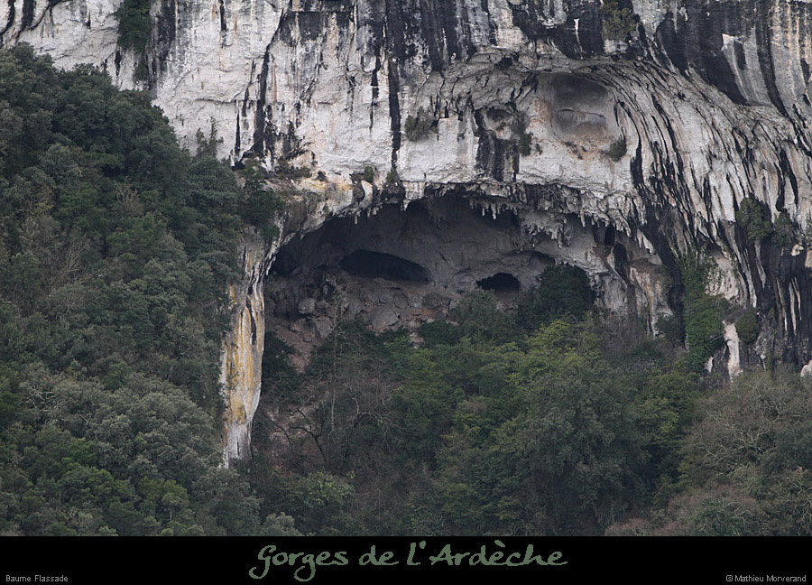 20130330_baumeflassade1