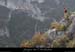 20070923_belv_bobsc_benoit2