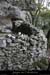 20071013_baumesousflassade1