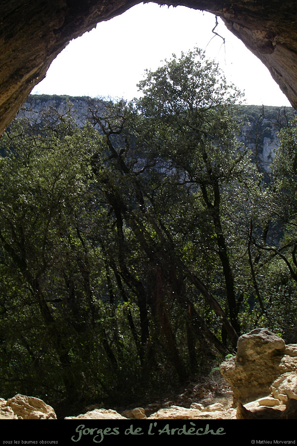 20080314_ssbaumesobscures1