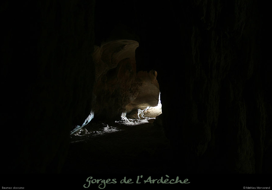 20100113_baumesobscures3