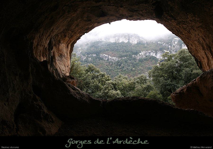 20100113_baumesobscures4