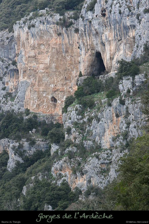 20100328_vireperilleuseparav1
