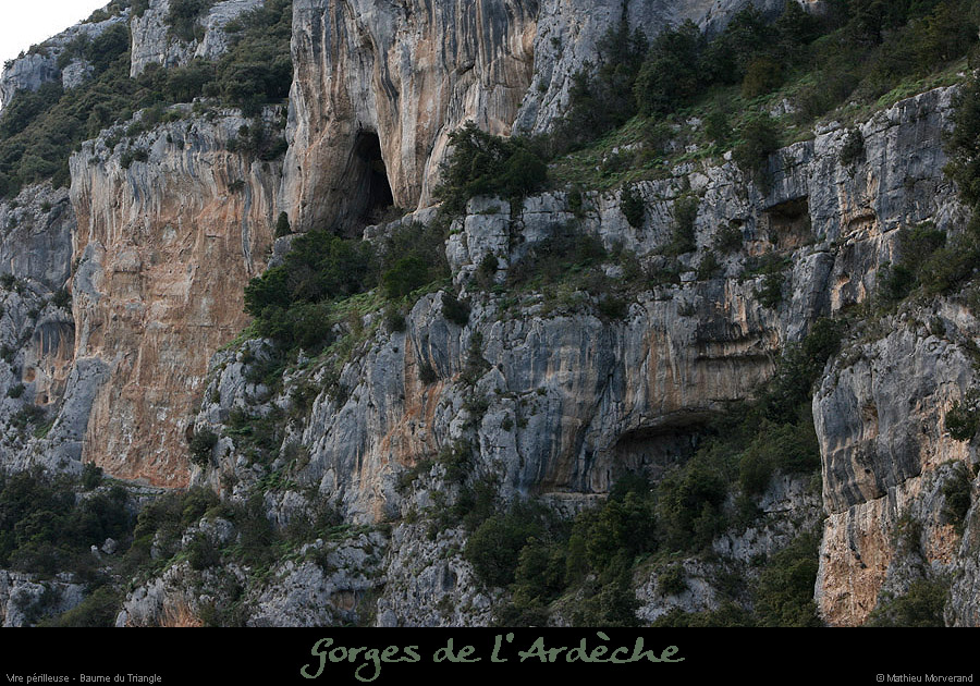 20100328_vireperilleuseparav4