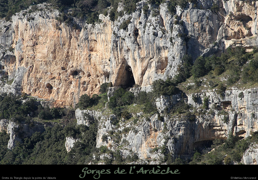 20110205_vireperilleuse_delunettevalaurie
