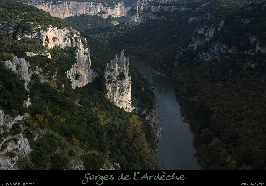 20081109_cathedrale02