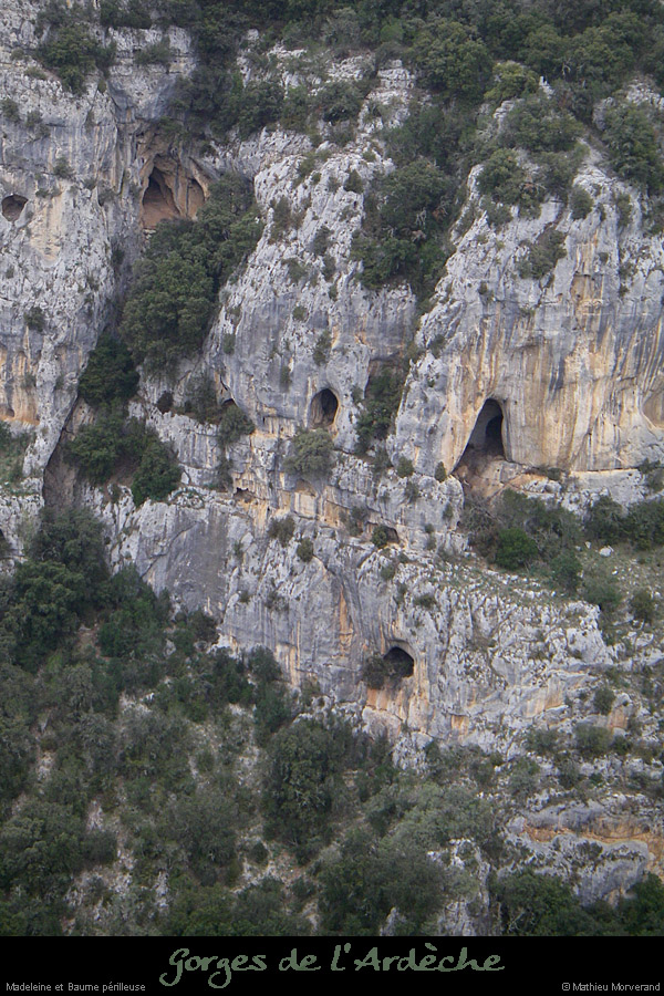 20080220_falaisemadeleineav