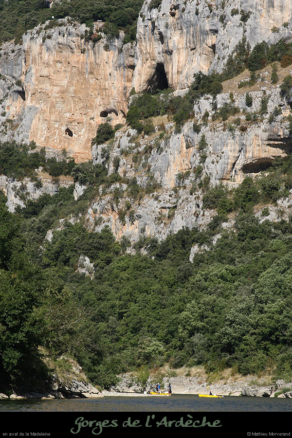 20090804_vireperilleuse_1