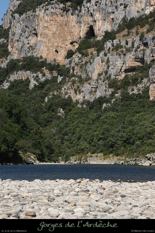 20090804_vireperilleuse_2